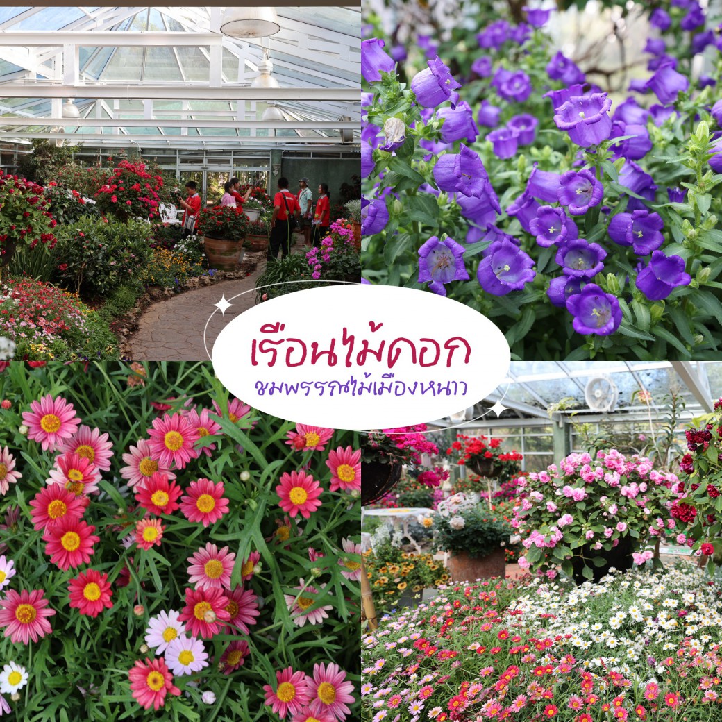 FILE-20260304-11456P93EF795CUL