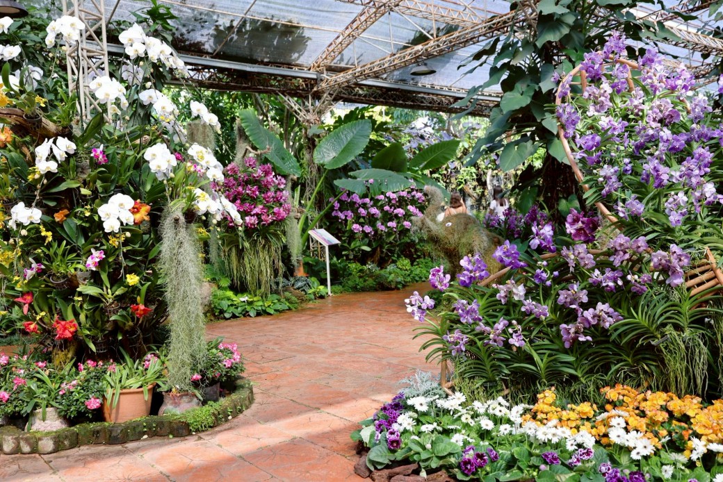 FILE-20260304-1148D7WHYTRJHGSS