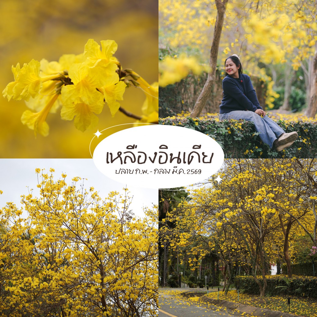 FILE-20260304-1149HHTM7YM1YQ1C