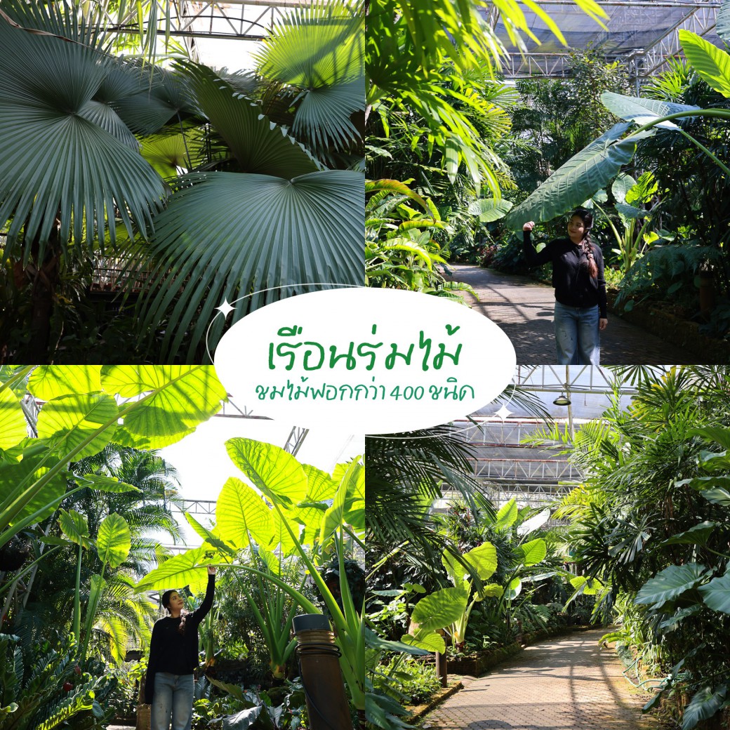 FILE-20260304-1154FJEHTSRKU68E