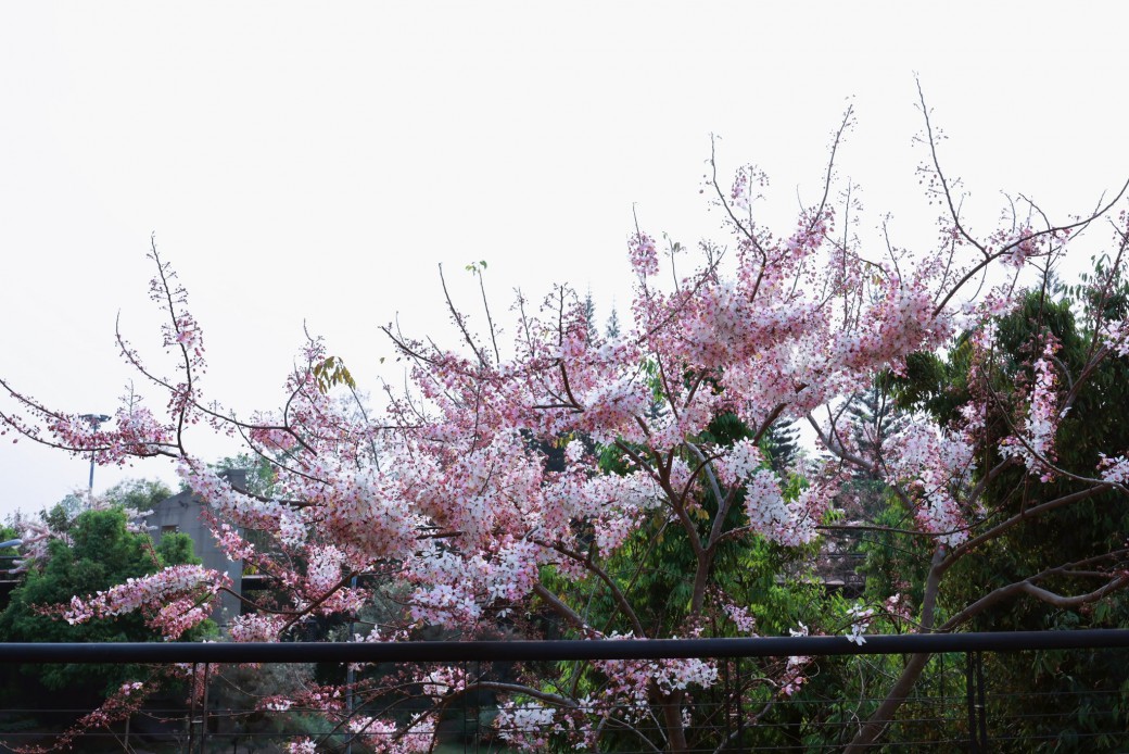 FILE-20260310-09098H5SQMZB9JE4