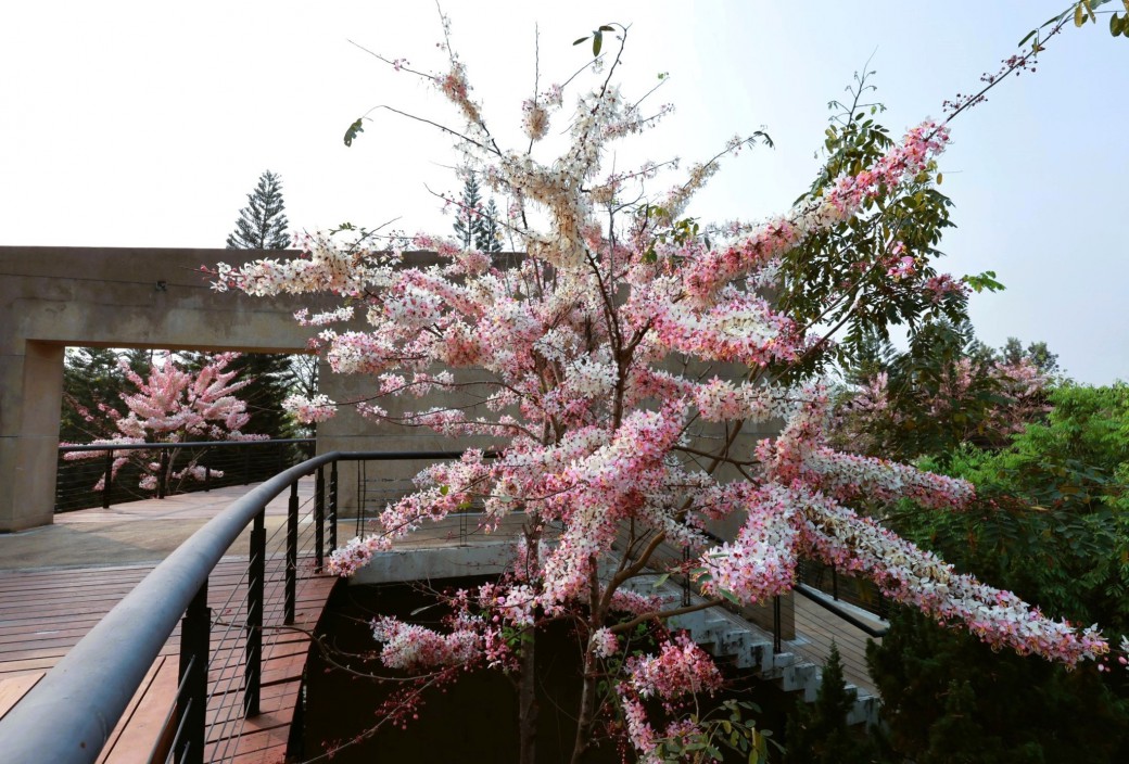 FILE-20260310-09099PP32TMVSMLT