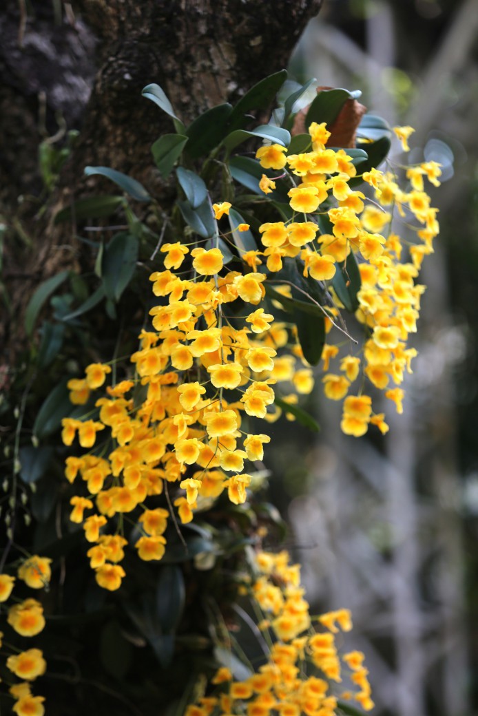 FILE-20260310-0911UZEZH8VTMS3R