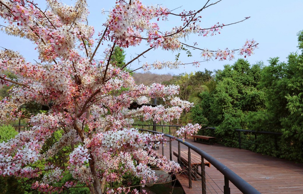 FILE-20260310-09182DQLAX4JU81C