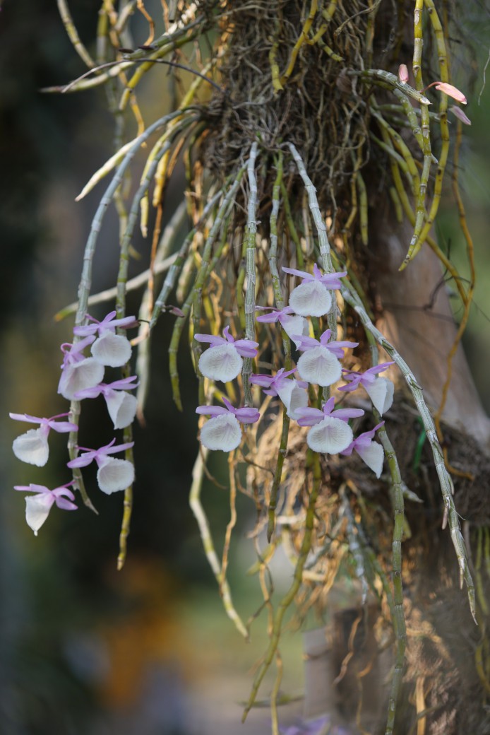 FILE-20260310-0919UHSZ5LK6J6XJ