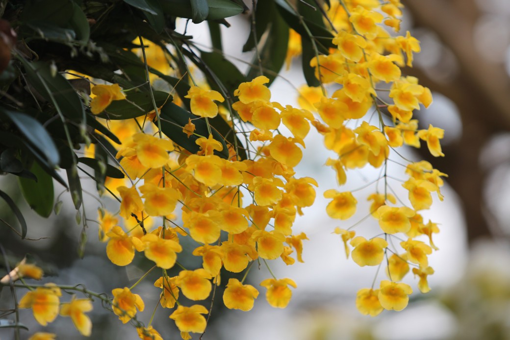 FILE-20260310-0934AL1498P8S7U6