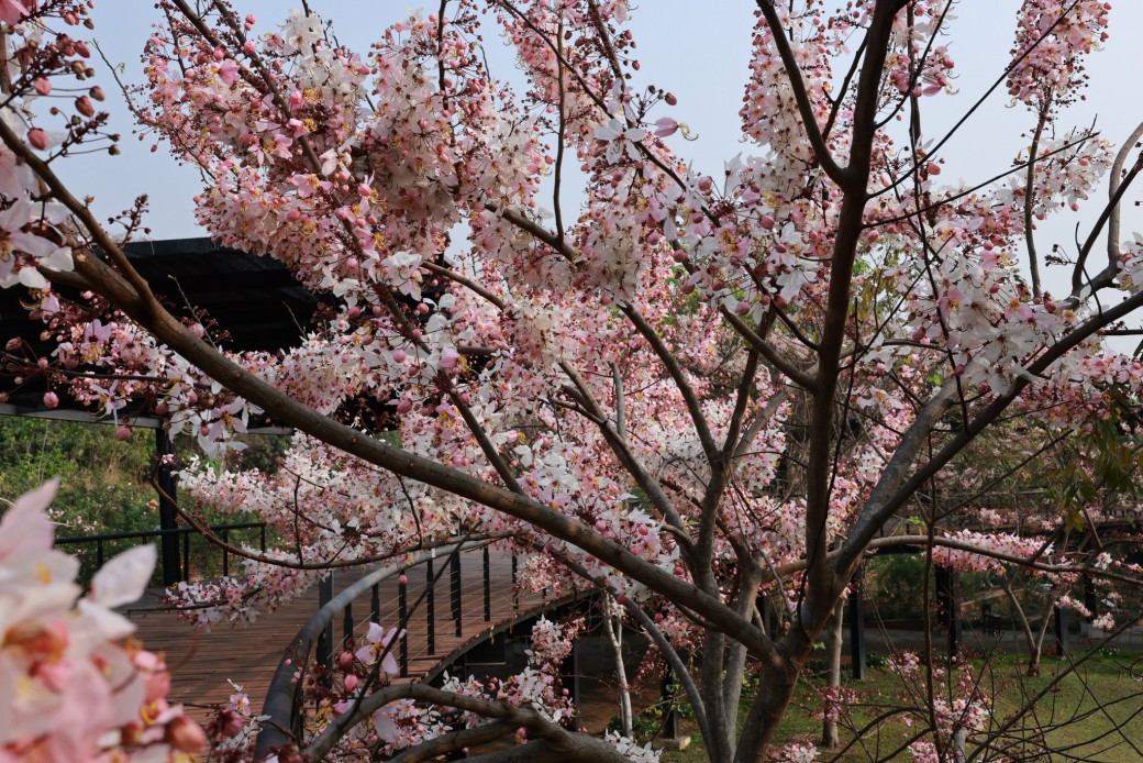 FILE-20260310-0935SX9GV54U8BJ6