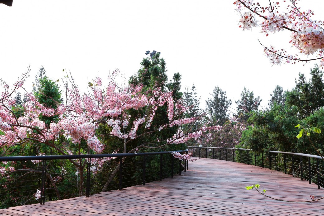 FILE-20260310-09412PQNEG2JCB3U