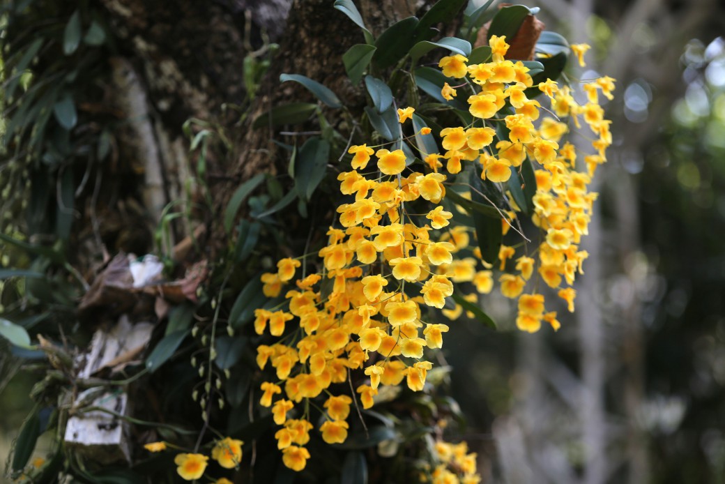 FILE-20260310-0944VCKTEJ9QBS1V