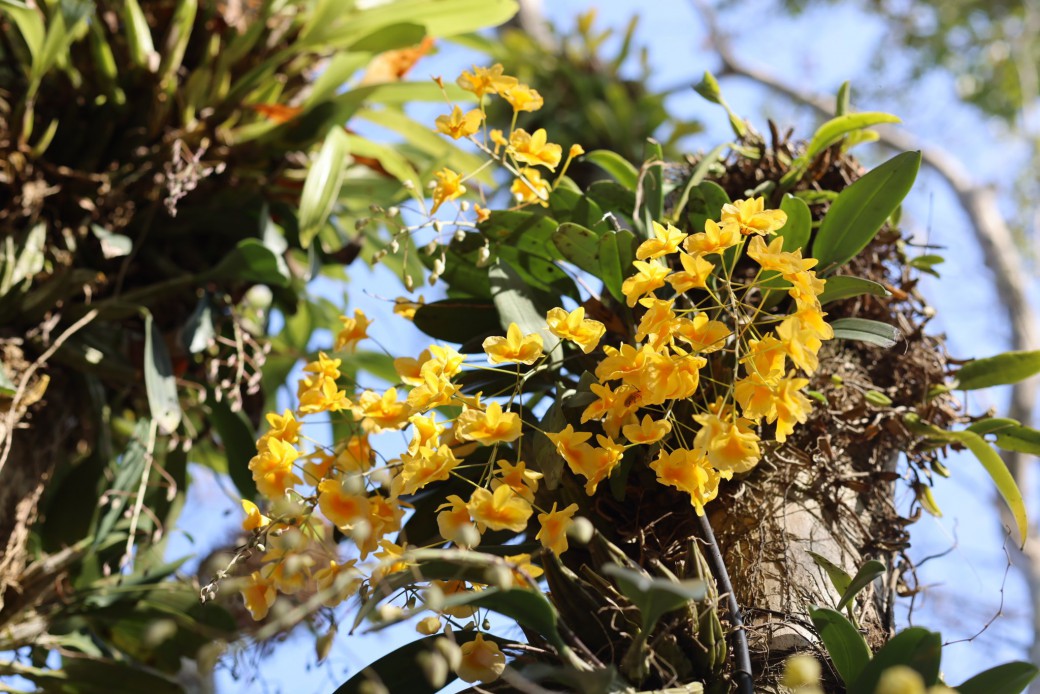 FILE-20260310-0944ZQ7JF58M2EC1