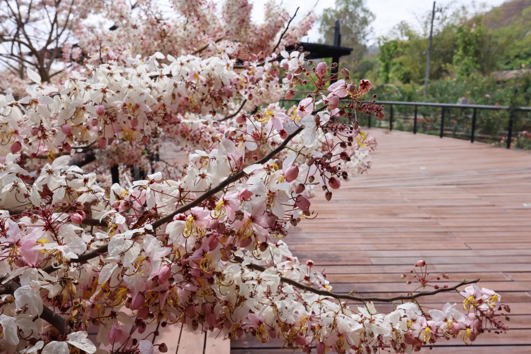 FILE-20260316-1007LSJEX1XUPXDT