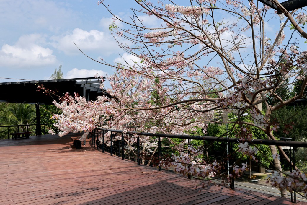 FILE-20260316-1008S8HFAZ2HLRDF