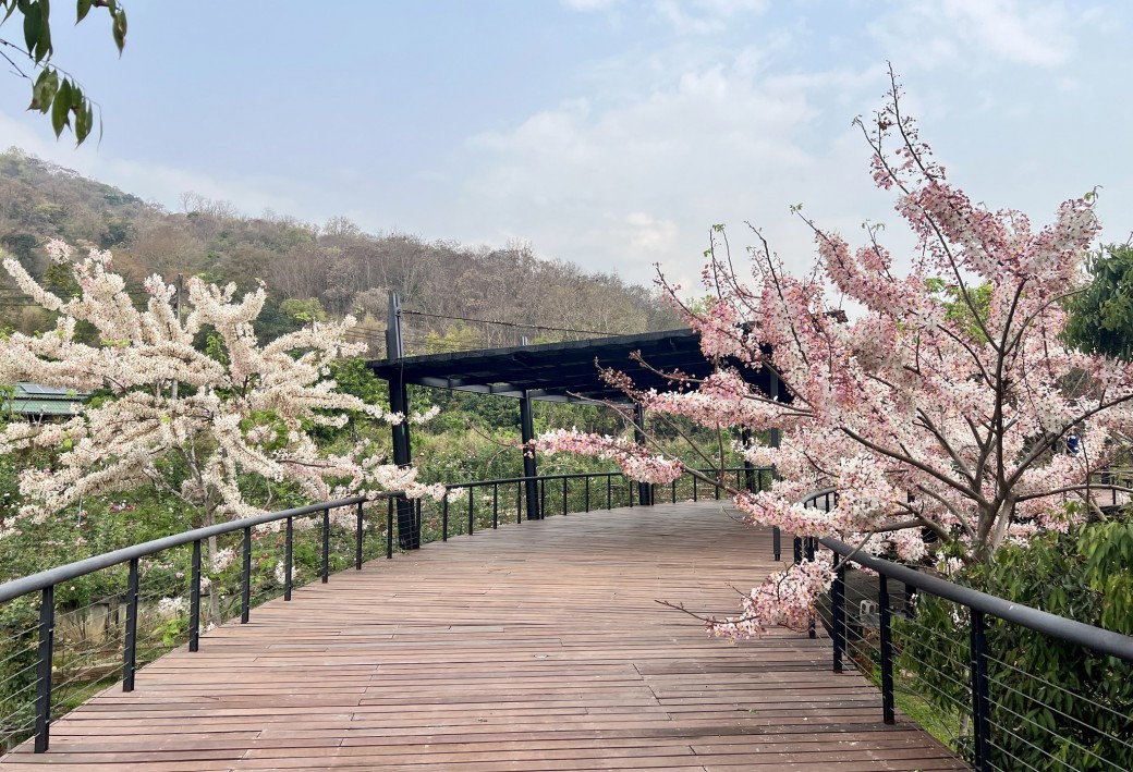 FILE-20260316-10101LTM8Y7ZV4QE