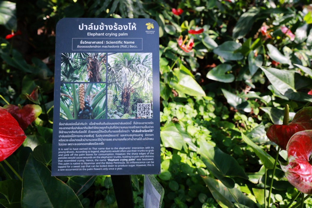 FILE-20260316-1012K1KTD1H6YZPE