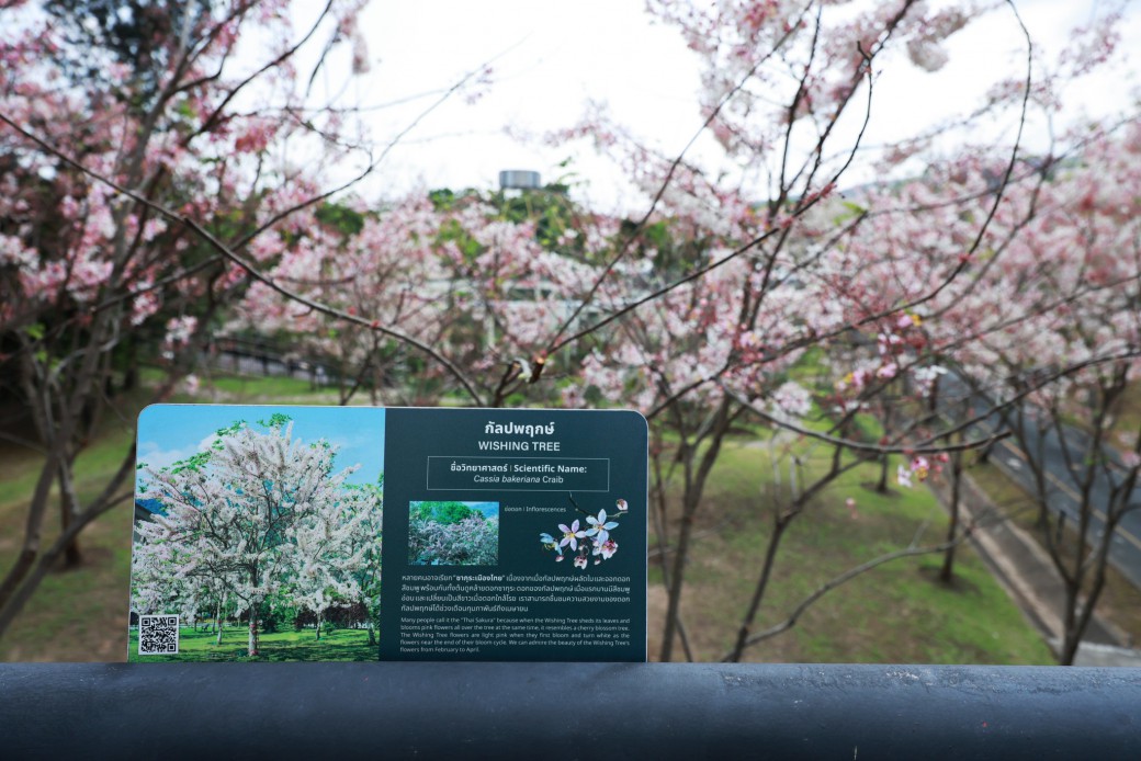 FILE-20260316-10137A33P7GX332E