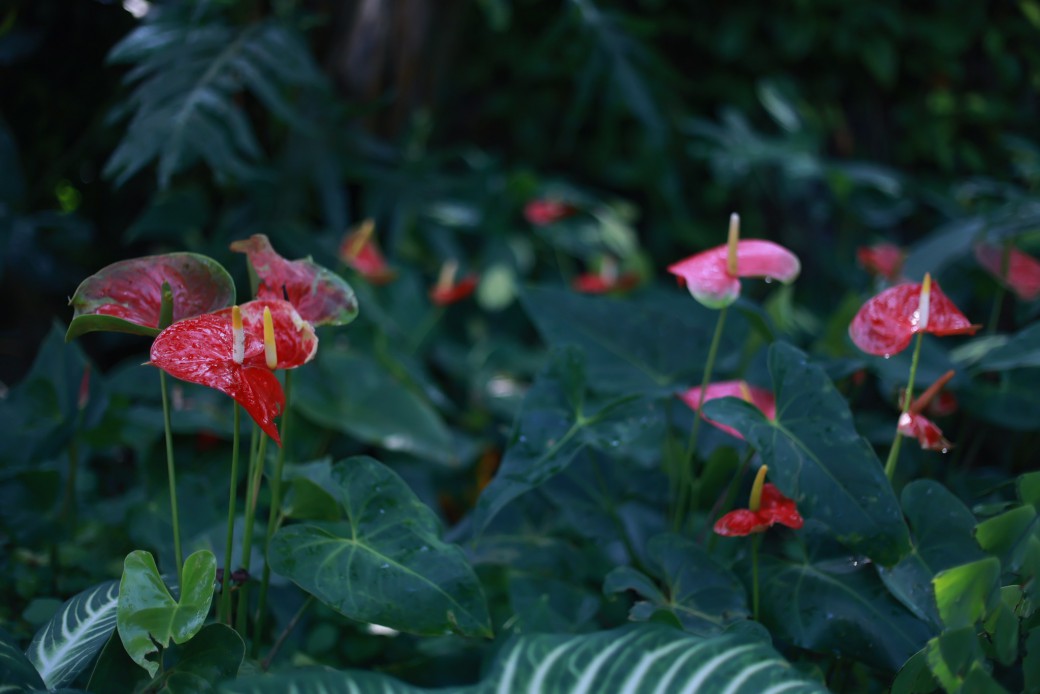 FILE-20260316-1013LA3NW18JZQHW