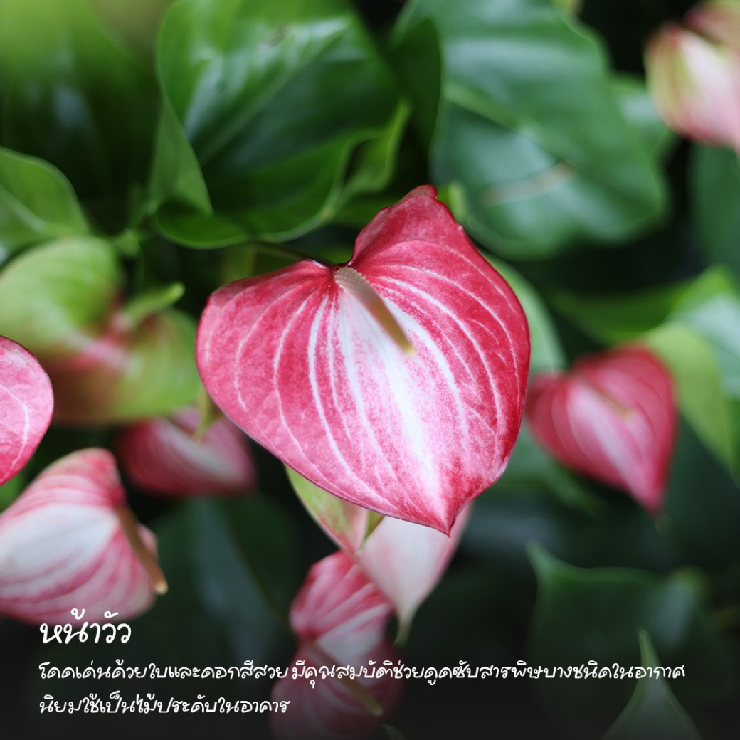 FILE-20260316-1015PNUWB8HVM6HM