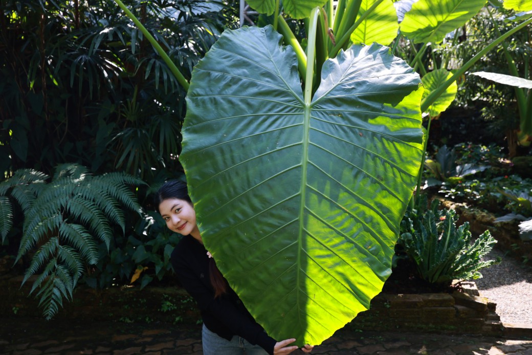 FILE-20260316-1015Z7AXZR825DDU