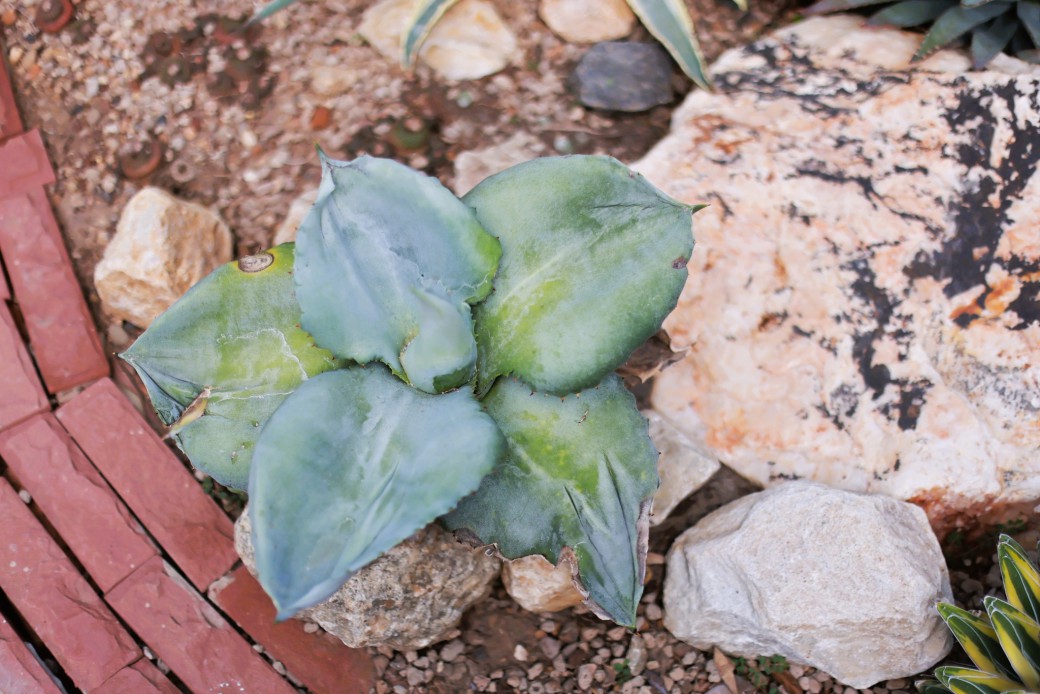 FILE-20260316-10162LGZWWE1YEKQ