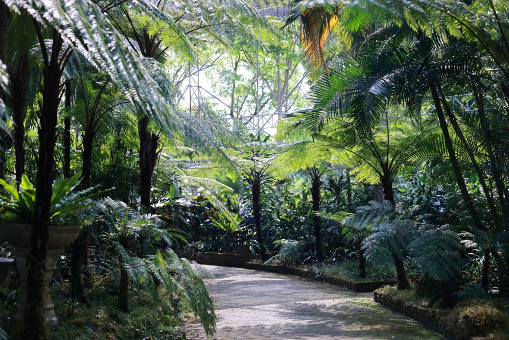 FILE-20260316-10199MTAX4ZY1XQU