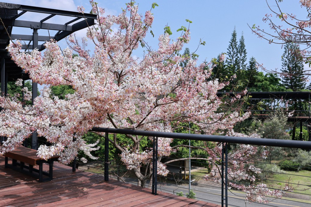 FILE-20260316-1020E37ATA5B8Q97