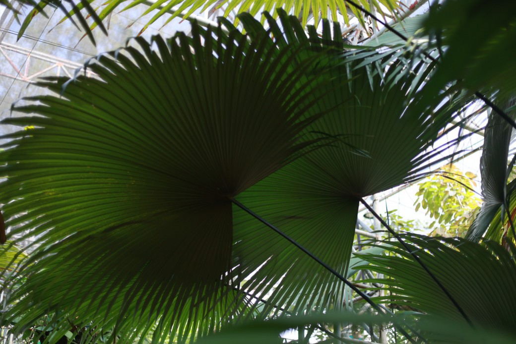 FILE-20260316-1022ZG8PMYVFCQCP