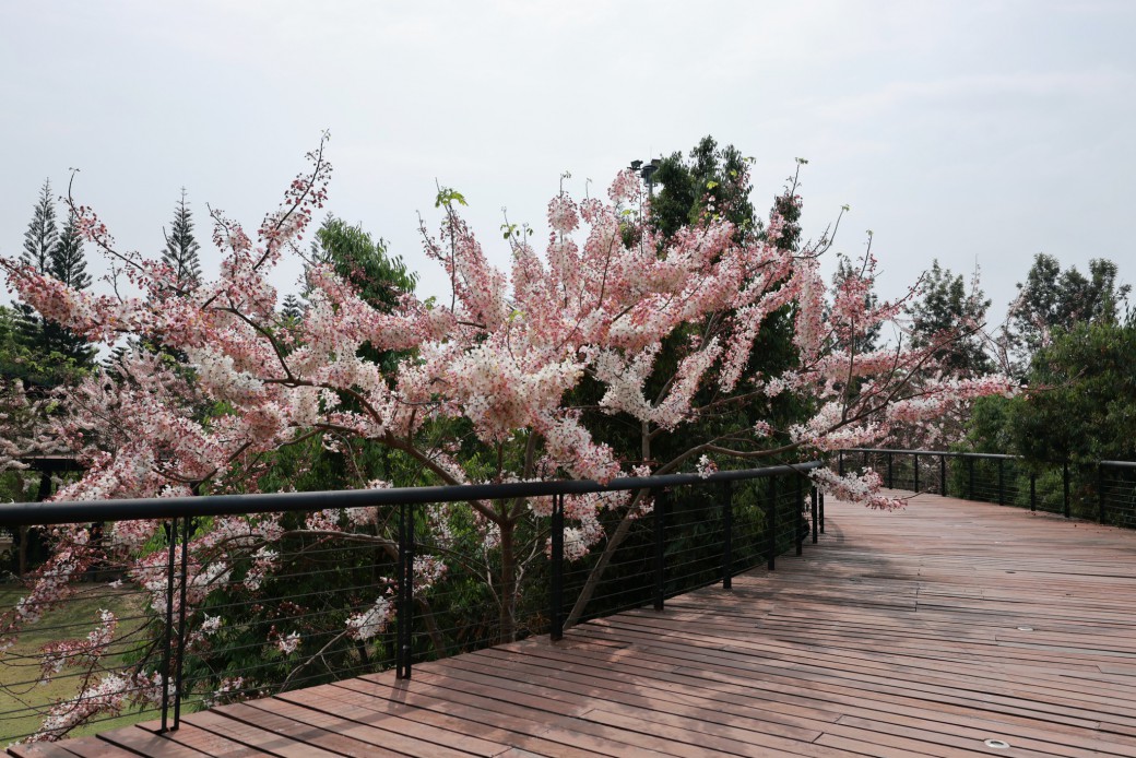 FILE-20260316-1024AUA74K2DC22H