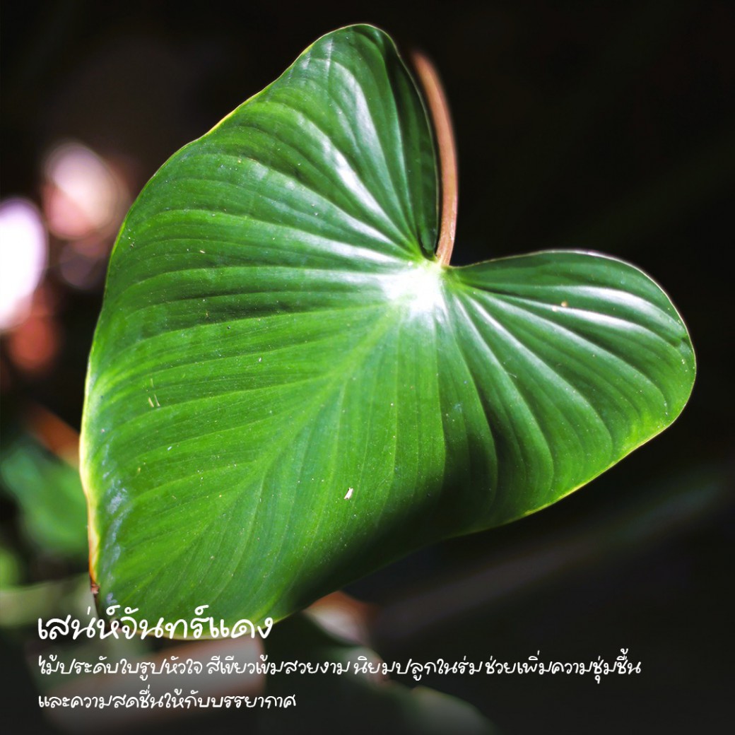 FILE-20260316-1024XU5G4LBBBCU6