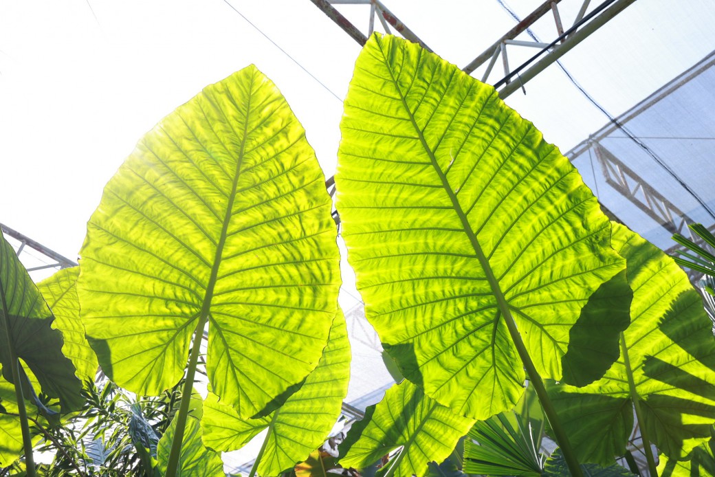 FILE-20260316-1025NDEJZWY9QR4L