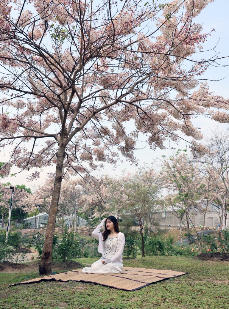 FILE-20260316-10279N241QC1K6WK