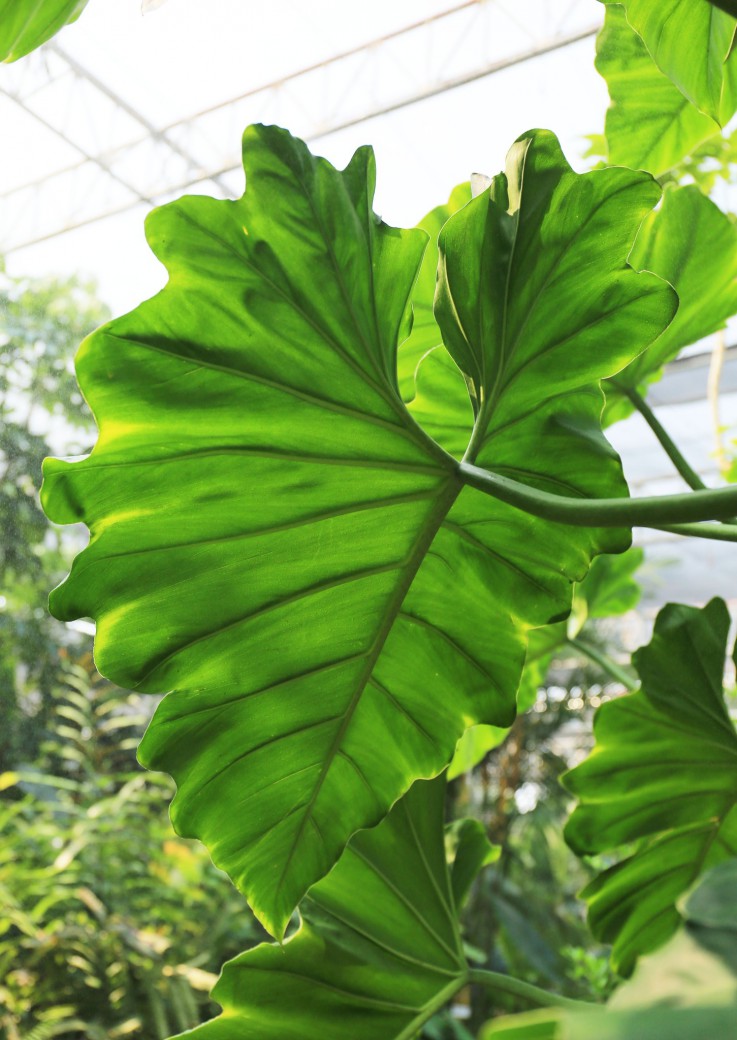 FILE-20260316-1027GYLJY4WXBDQM