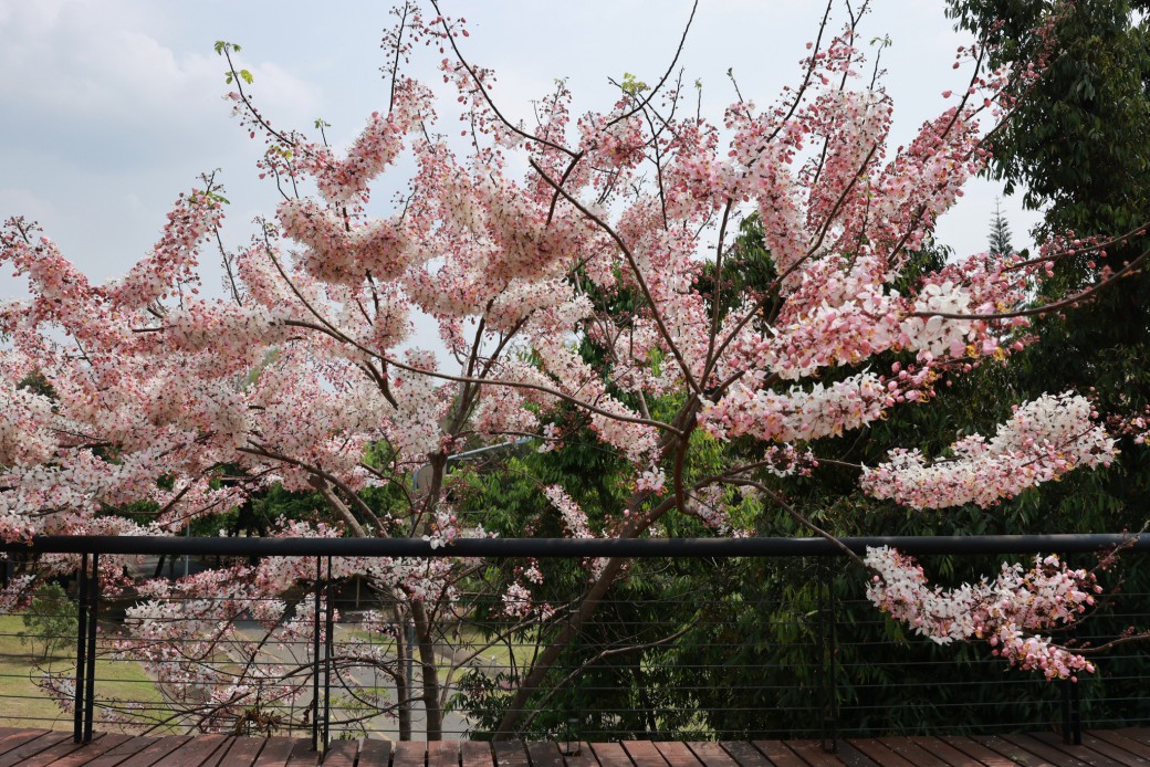 FILE-20260316-1028SY92C9AMF9UN