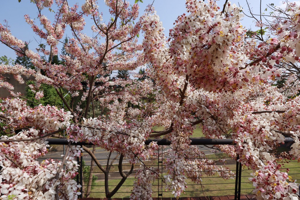 FILE-20260316-1030YHXDXB3SGVKW