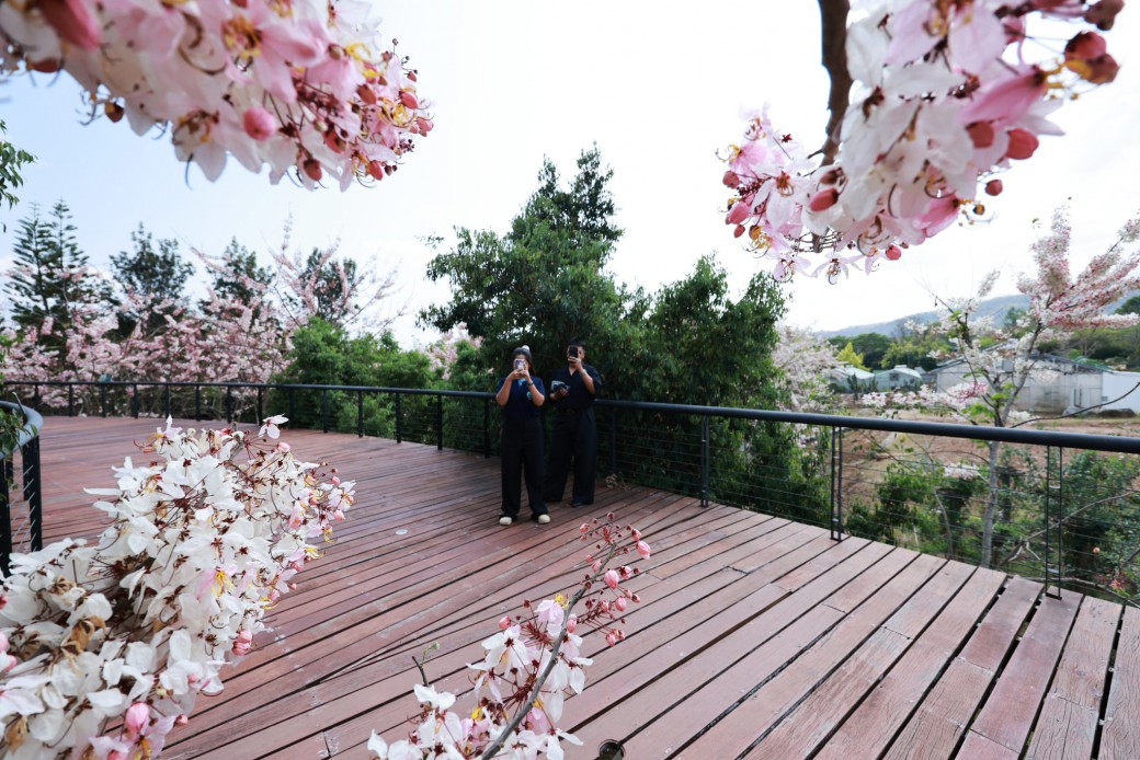 FILE-20260316-1032DAT2FLADCNLW