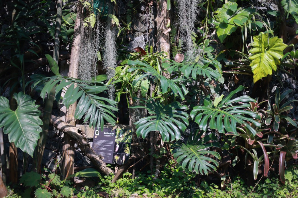 FILE-20260316-1032L8G696FSFYTV