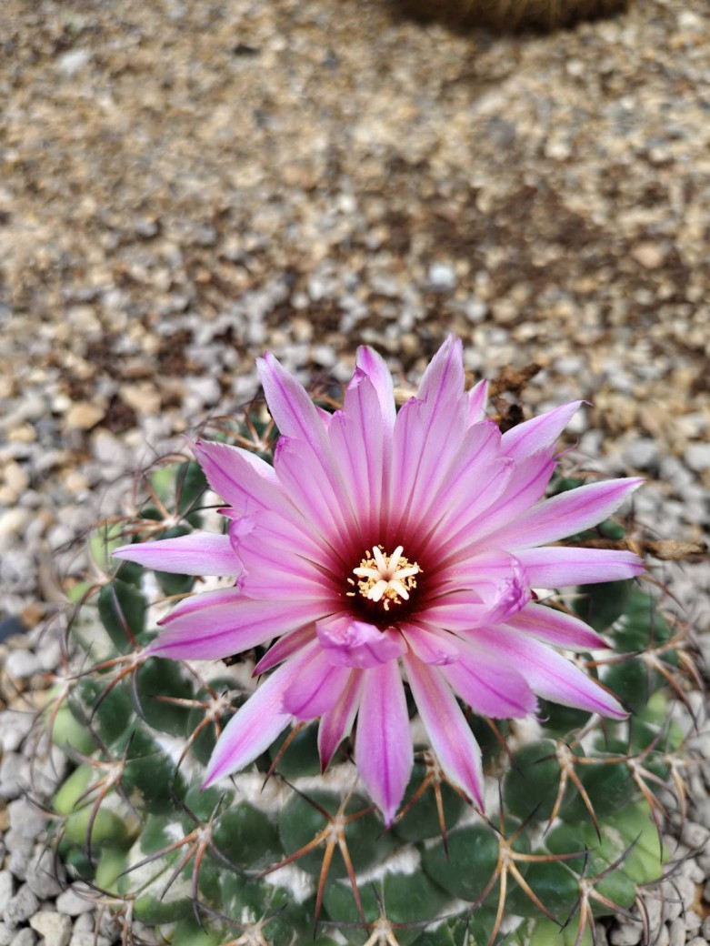 FILE-20260316-10336X9RQWNALWVU