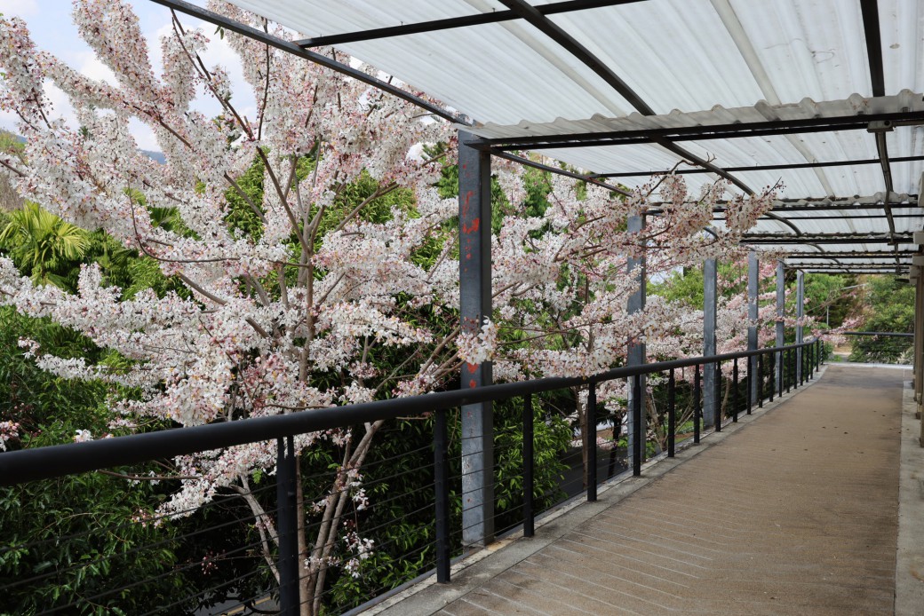 FILE-20260316-1033NL2ECZXB1LG6