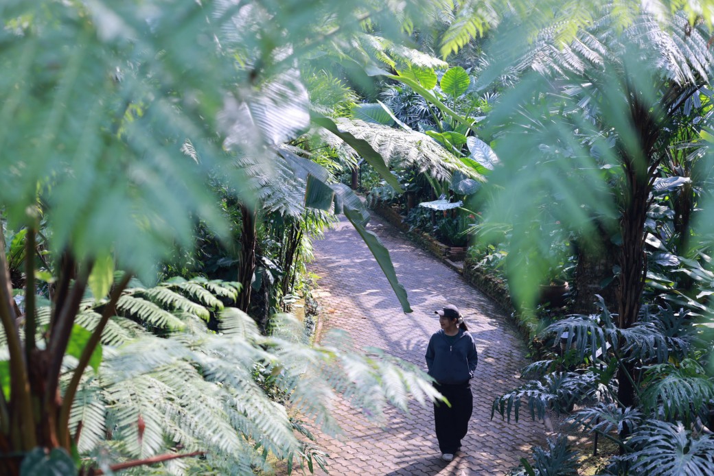 FILE-20260316-1034QG1JDZPMZXUC