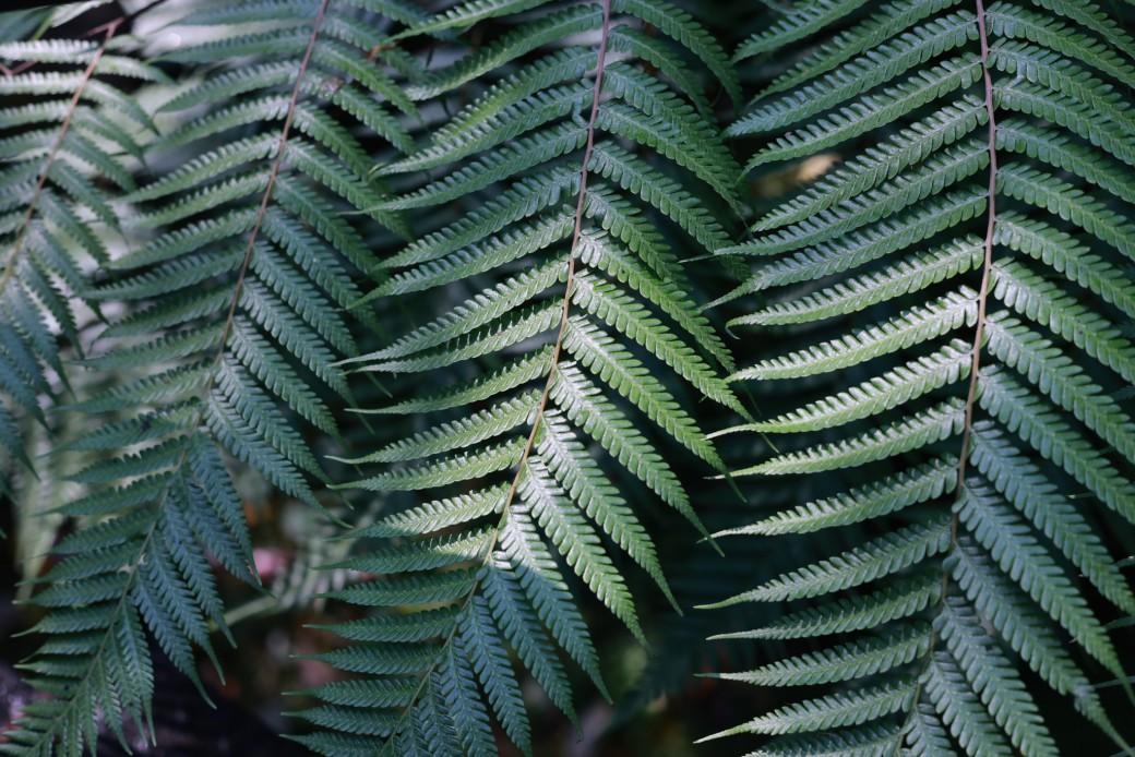 FILE-20260316-1035BLZ326R4AD4Y