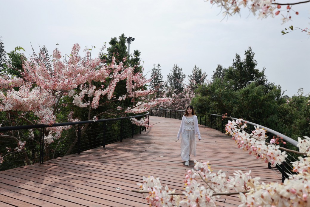 FILE-20260316-1035VP71HNKGNZRG