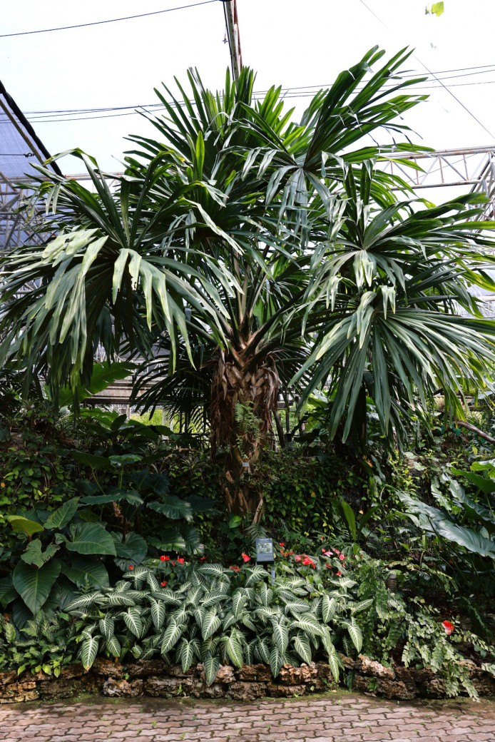 FILE-20260316-1036CETWDVC5TWKN