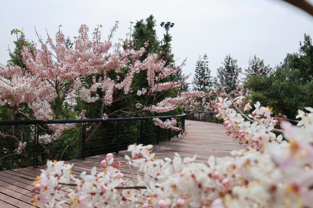 FILE-20260316-1037VHDFYXWGA38N