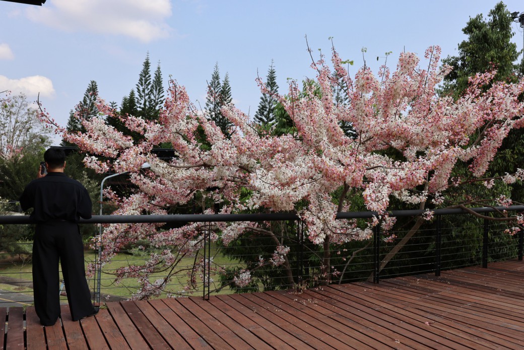 FILE-20260316-1040JUUK4ADRCTAK