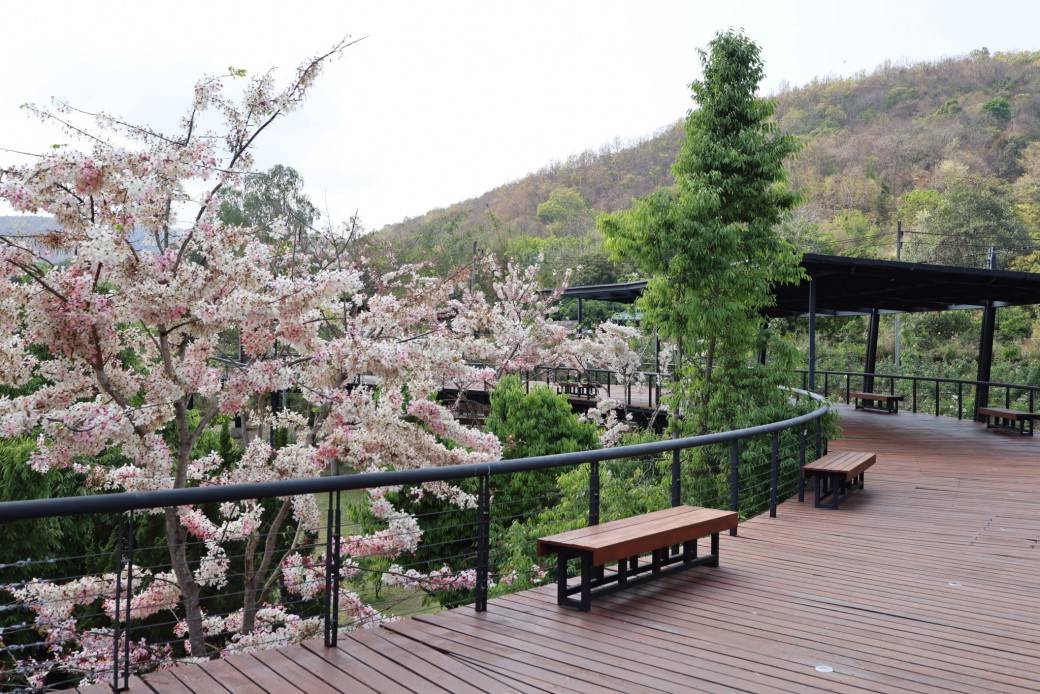 FILE-20260316-10444GZYA7JC5DRG