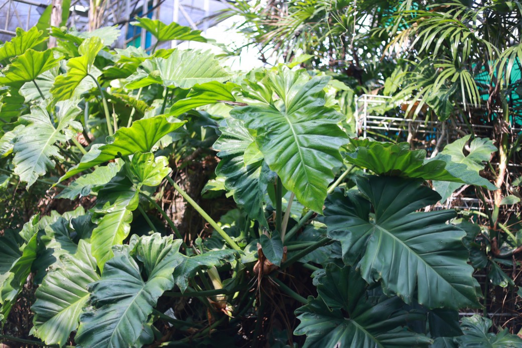 FILE-20260316-1044ULFHPBSRCZ93