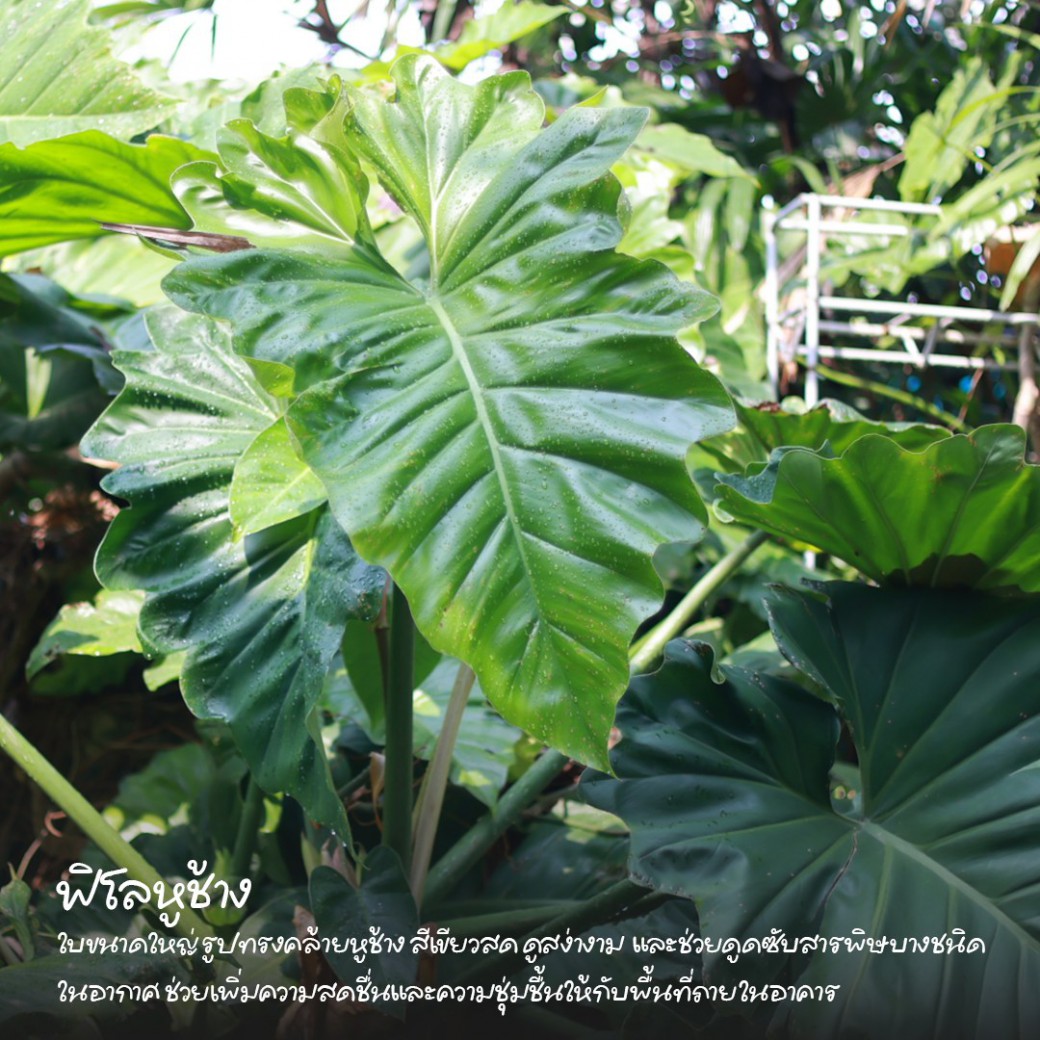 FILE-20260316-1046CUMF23239W7V