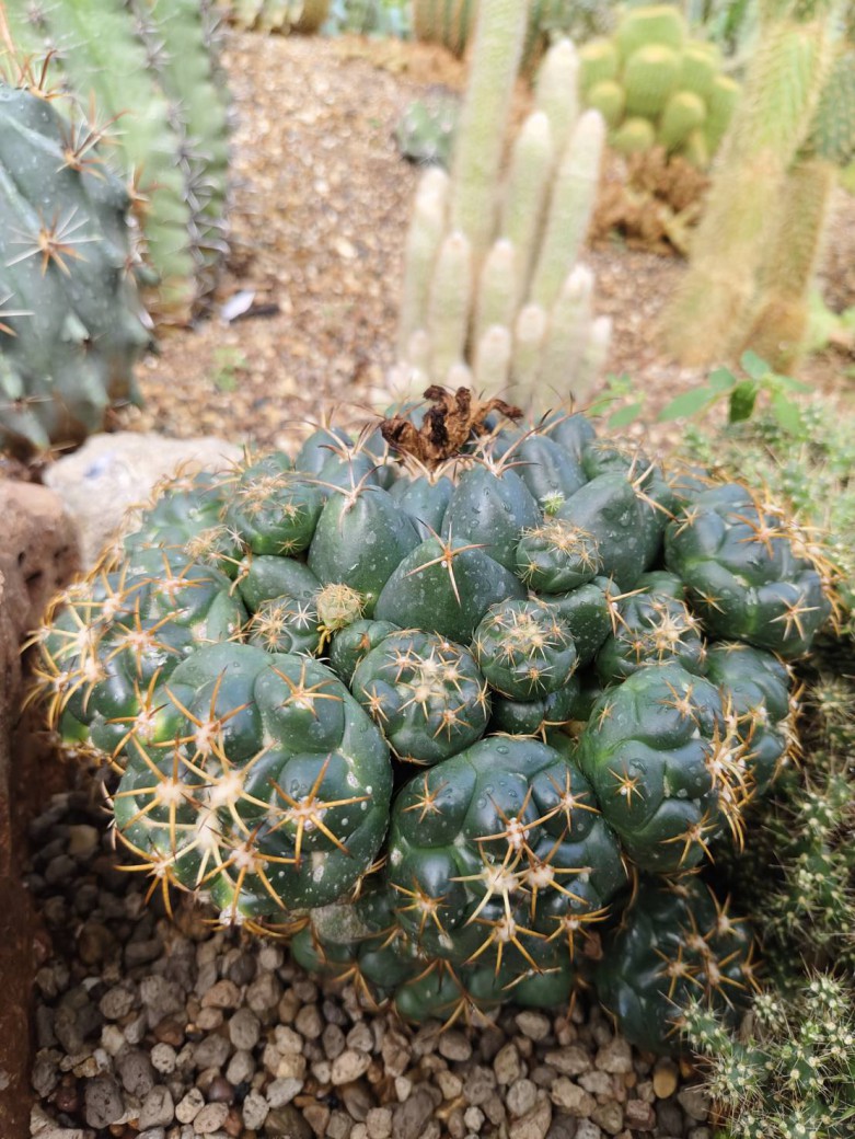 FILE-20260316-1049SHXMF7AKLTMN