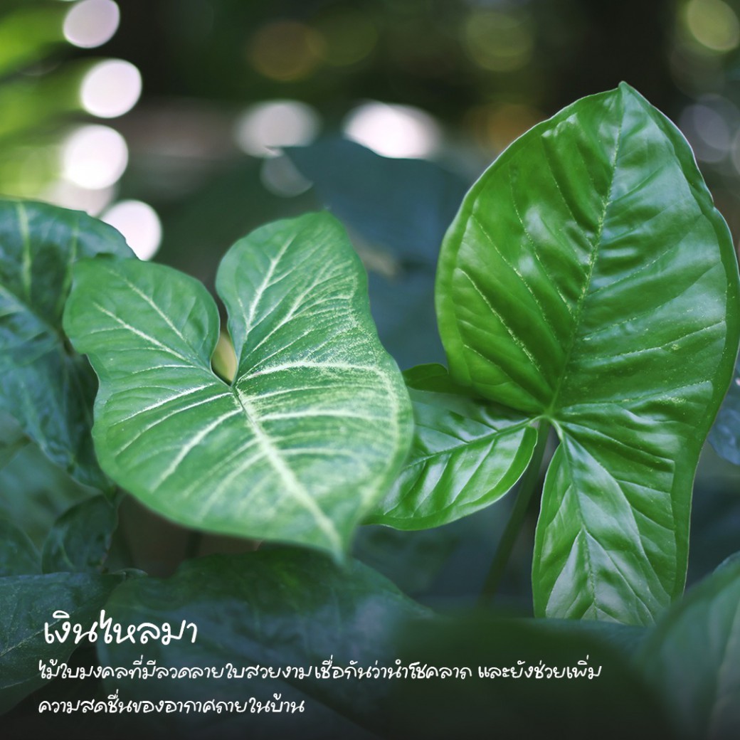 FILE-20260316-1050MEXDSTMMZ6K1