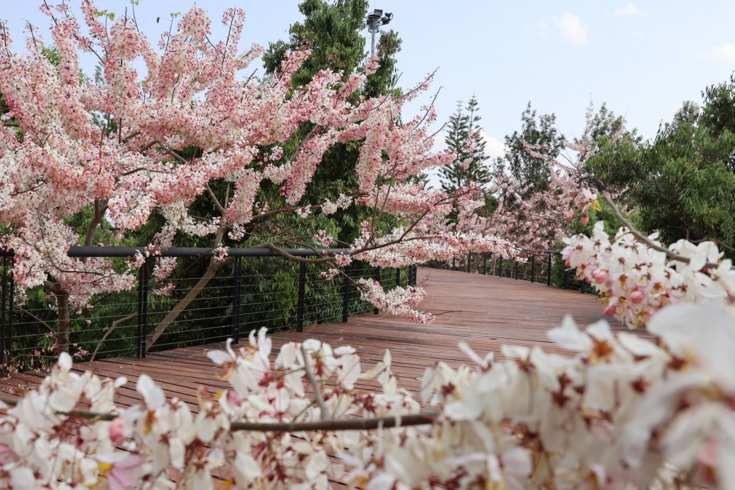 FILE-20260316-105273DJT2PXKLYV