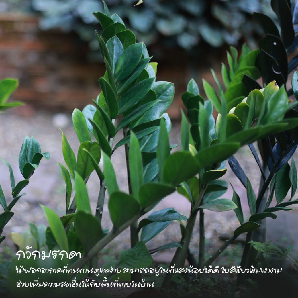 FILE-20260316-1052KTJVYJ1MQ8MM